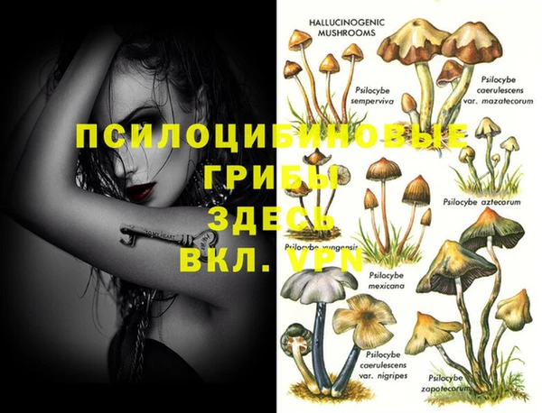 дживик Алзамай