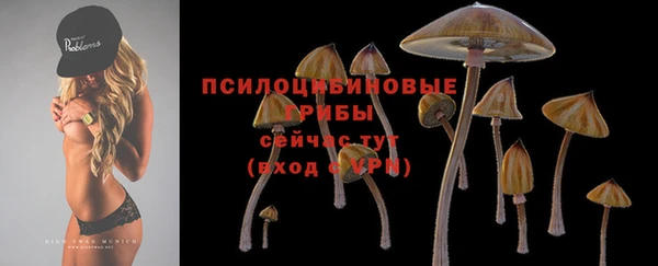 дживик Алзамай