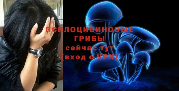 дживик Алексеевка