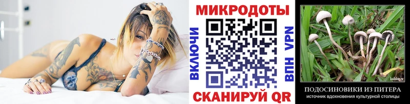 Псилоцибиновые грибы Cubensis Новоалтайск