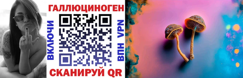 Галлюциногенные грибы мицелий Новоалтайск