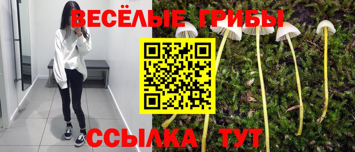 как найти закладки  Вход с VPN  Новоалтайск  Галлюциногенные грибы прущие грибы 